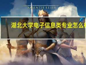 湖北大学电子信息类专业怎么样