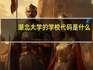 湖北大学的学校代码是什么
