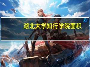 湖北大学知行学院面积
