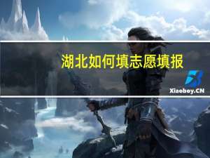 湖北如何填志愿填报