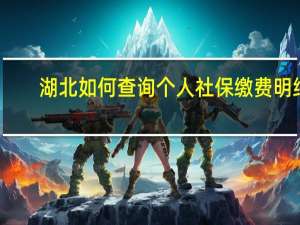 湖北如何查询个人社保缴费明细