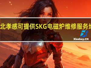 湖北孝感可提供SKG电磁炉维修服务地址在哪