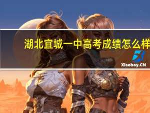 湖北宜城一中高考成绩怎么样
