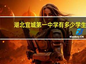 湖北宜城第一中学有多少学生