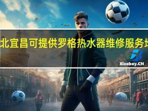 湖北宜昌可提供罗格热水器维修服务地址在哪