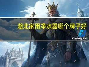 湖北家用净水器哪个牌子好