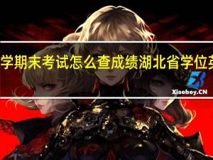 湖北小学期末考试怎么查成绩 湖北省学位英语成绩查询