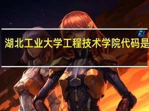 湖北工业大学工程技术学院代码是多少