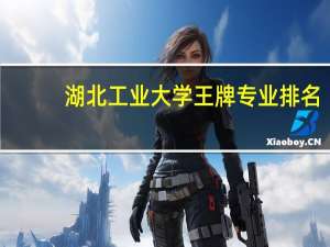 湖北工业大学王牌专业排名