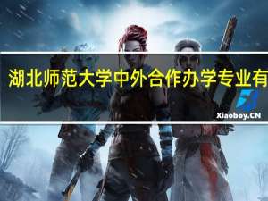 湖北师范大学中外合作办学专业有哪些