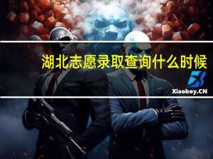 湖北志愿录取查询什么时候