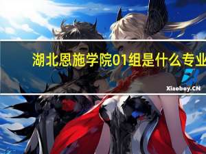 湖北恩施学院01组是什么专业