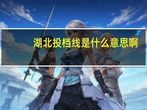 湖北投档线是什么意思啊