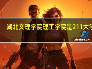 湖北文理学院理工学院是211大学吗