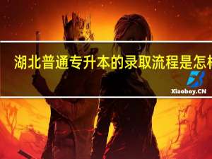 湖北普通专升本的录取流程是怎样的