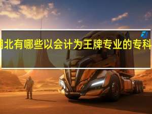 湖北有哪些以会计为王牌专业的专科大学10
