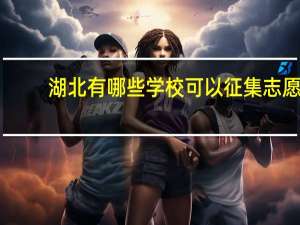 湖北有哪些学校可以征集志愿