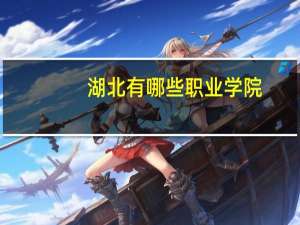 湖北有哪些职业学院