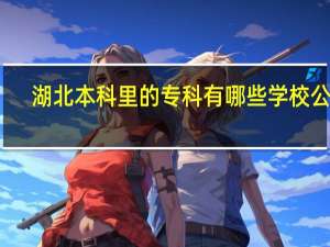 湖北本科里的专科有哪些学校公办