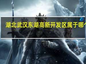 湖北武汉东湖高新开发区属于哪个区