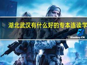 湖北武汉有什么好的专本连读学校