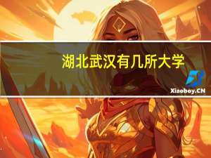 湖北武汉有几所大学