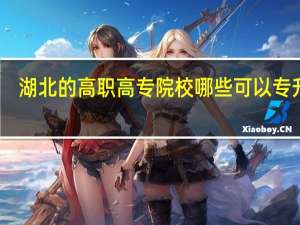 湖北的高职高专院校哪些可以专升本