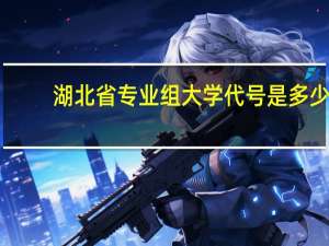 湖北省专业组大学代号是多少