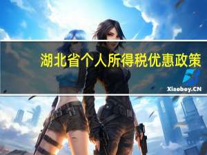 湖北省个人所得税优惠政策（湖北个人所得税网上申报平台）