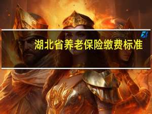 湖北省养老保险缴费标准