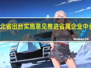 湖北省出台实施意见推进省属企业中长期激励