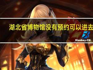 湖北省博物馆没有预约可以进去吗