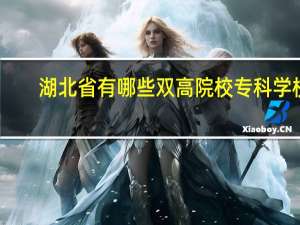 湖北省有哪些双高院校专科学校