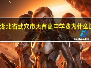 湖北省武穴市天有高中学费为什么这么高,一个学生一年要两万多元,不是说高中学