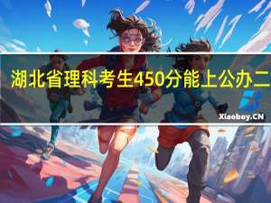 湖北省理科考生450分能上公办二本吗