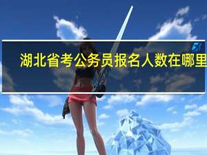 湖北省考公务员报名人数在哪里查
