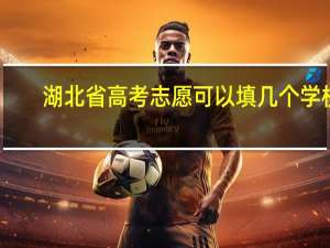 湖北省高考志愿可以填几个学校