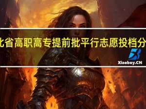 湖北省高职高专提前批平行志愿投档分是多少啊