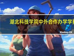 湖北科技学院中外合作办学学费