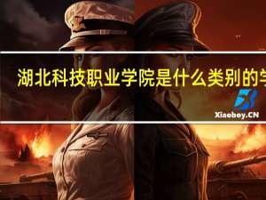 湖北科技职业学院是什么类别的学校