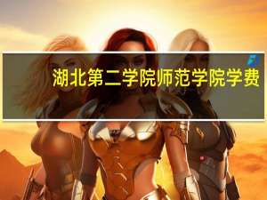 湖北第二学院师范学院学费