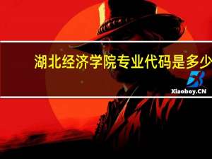 湖北经济学院专业代码是多少
