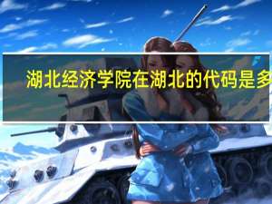 湖北经济学院在湖北的代码是多少