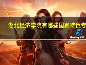 湖北经济学院有哪些国家特色专业