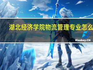 湖北经济学院物流管理专业怎么样