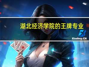 湖北经济学院的王牌专业