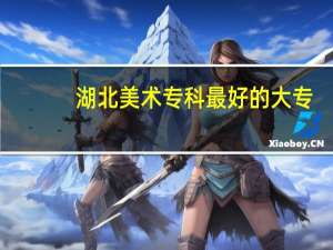 湖北美术专科最好的大专