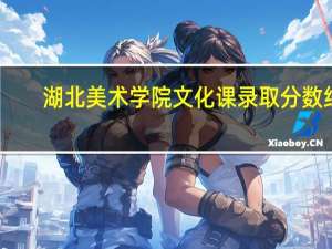 湖北美术学院文化课录取分数线