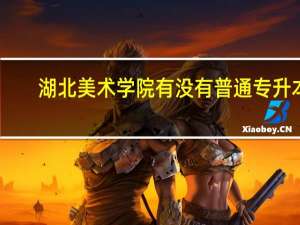 湖北美术学院有没有普通专升本