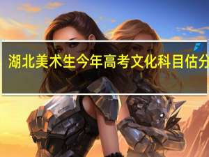 湖北美术生今年高考文化科目估分260，总分460左右，可以填武汉的什么学校啊